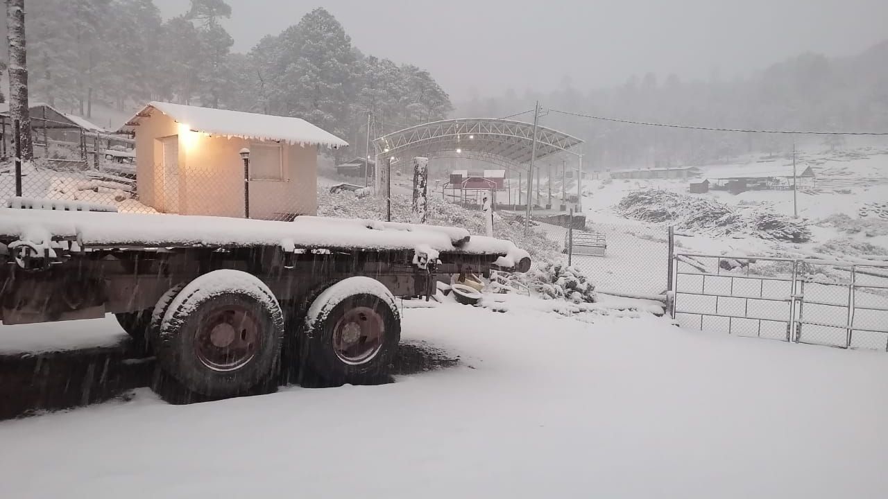 Videos Durango se pinta de blanco así se vive la primera nevada