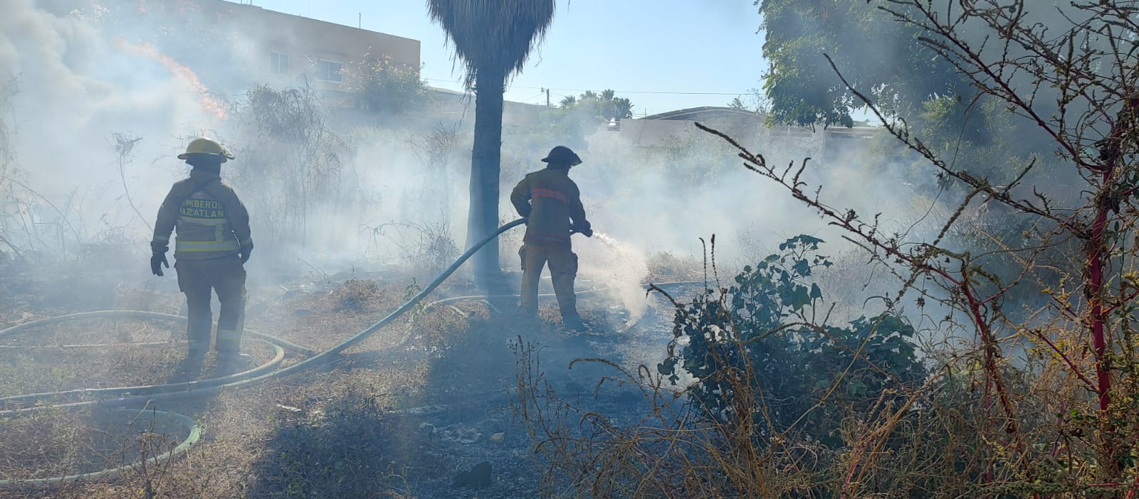 Imparables No cesan los incendios en lotes baldíos de Mazatlán 15