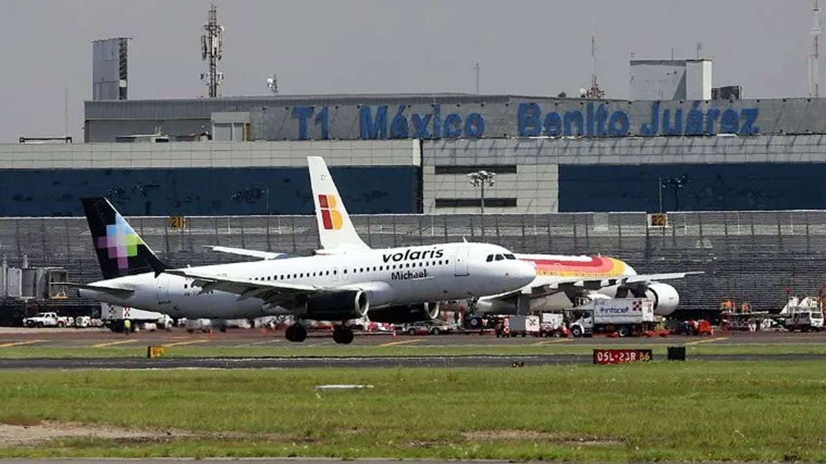 Un Caos Volaris Cancela M S De Vuelos En El Aicm Cu L Fue La