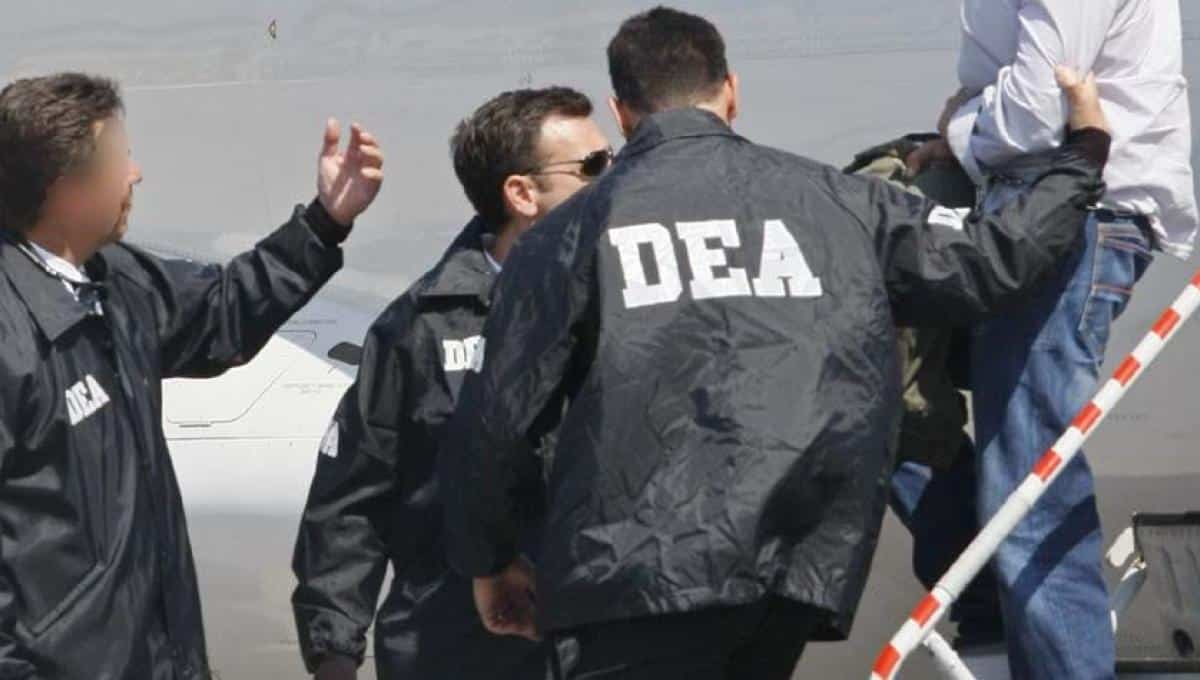 Dea Se Ala Al C Rtel De Sinaloa Y Cjng C Mo Principales Amenazas