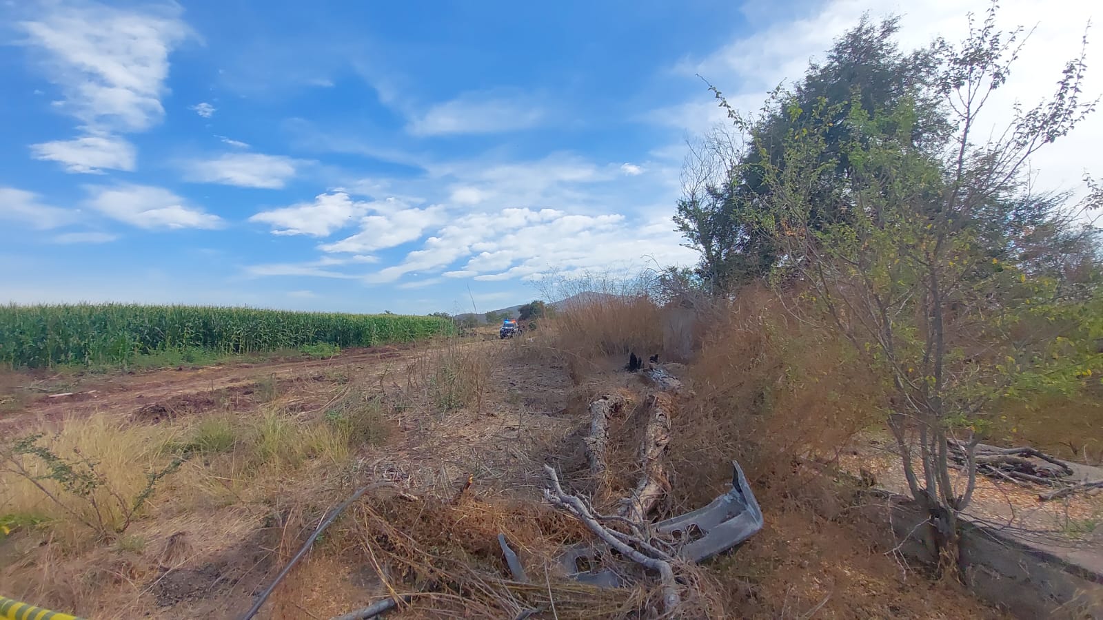 Estaba degollado Hallan a un hombre asesinado junto a cultivo de maíz