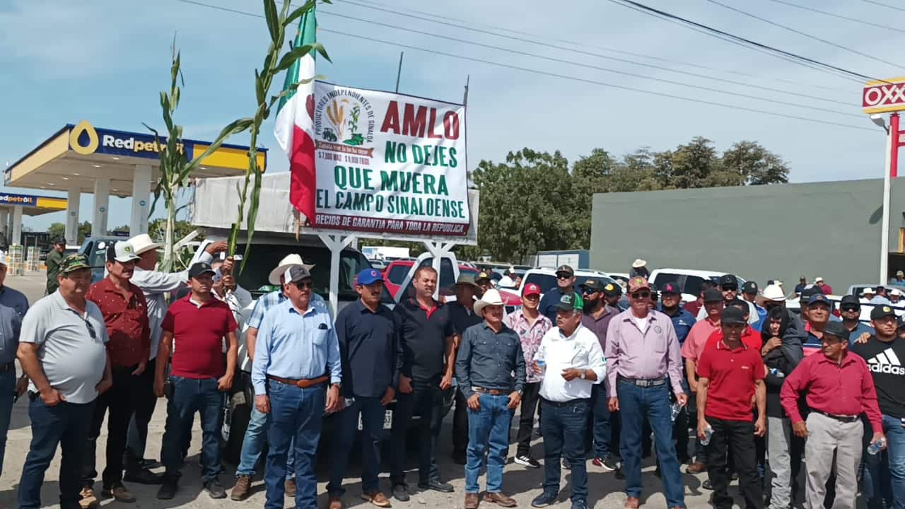 Queremos 7 mil pesos por t para toda la producción de maíz exigen