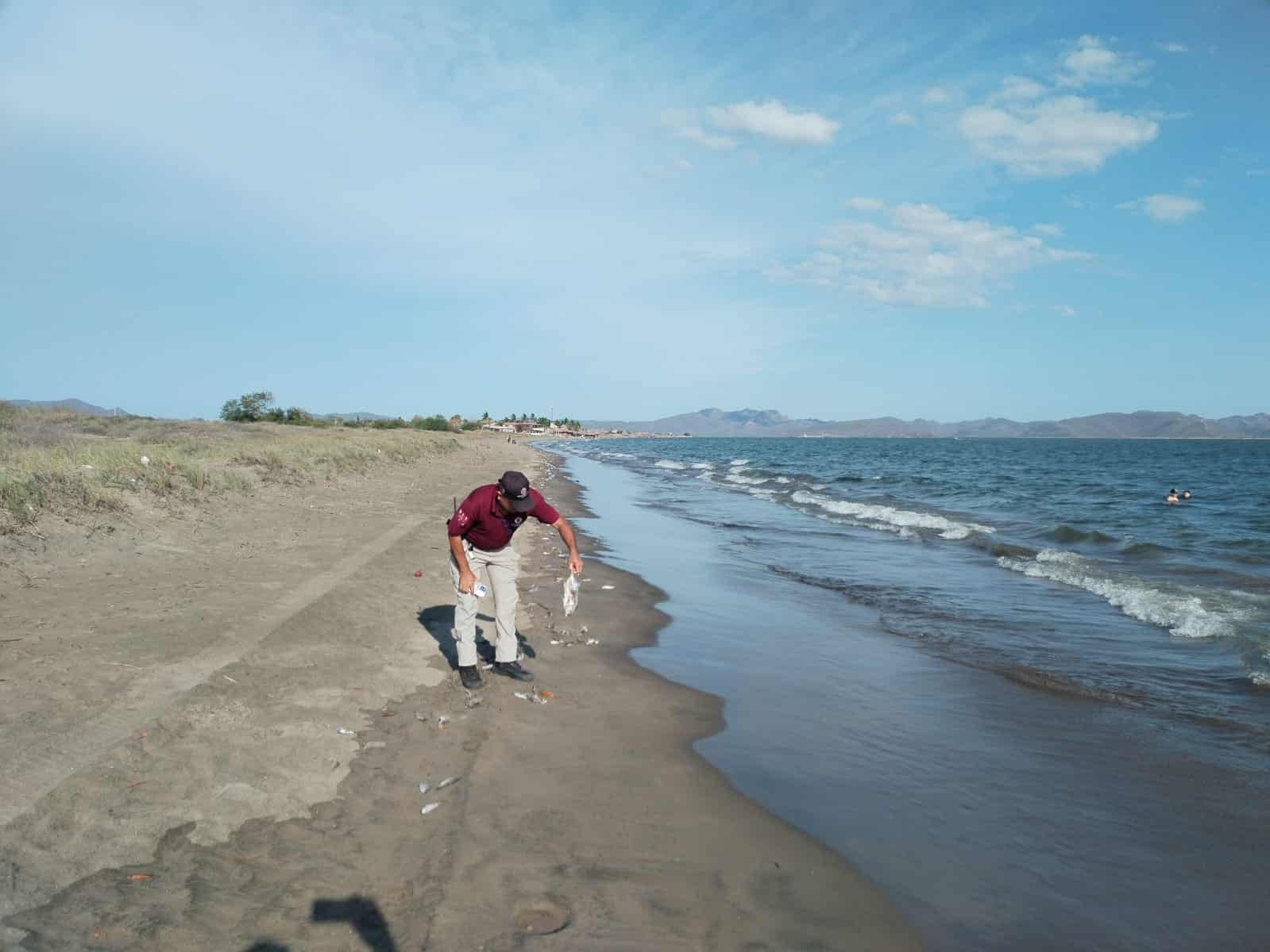 Aparecen Peces Muertos En Toda La Orilla De La Playa El Maviri