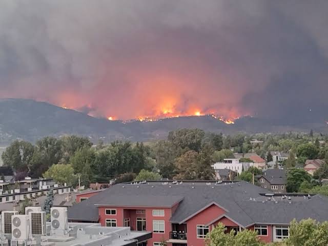 Incendios forestales en Canadá arrasan con 41 mil hectáreas Línea Directa