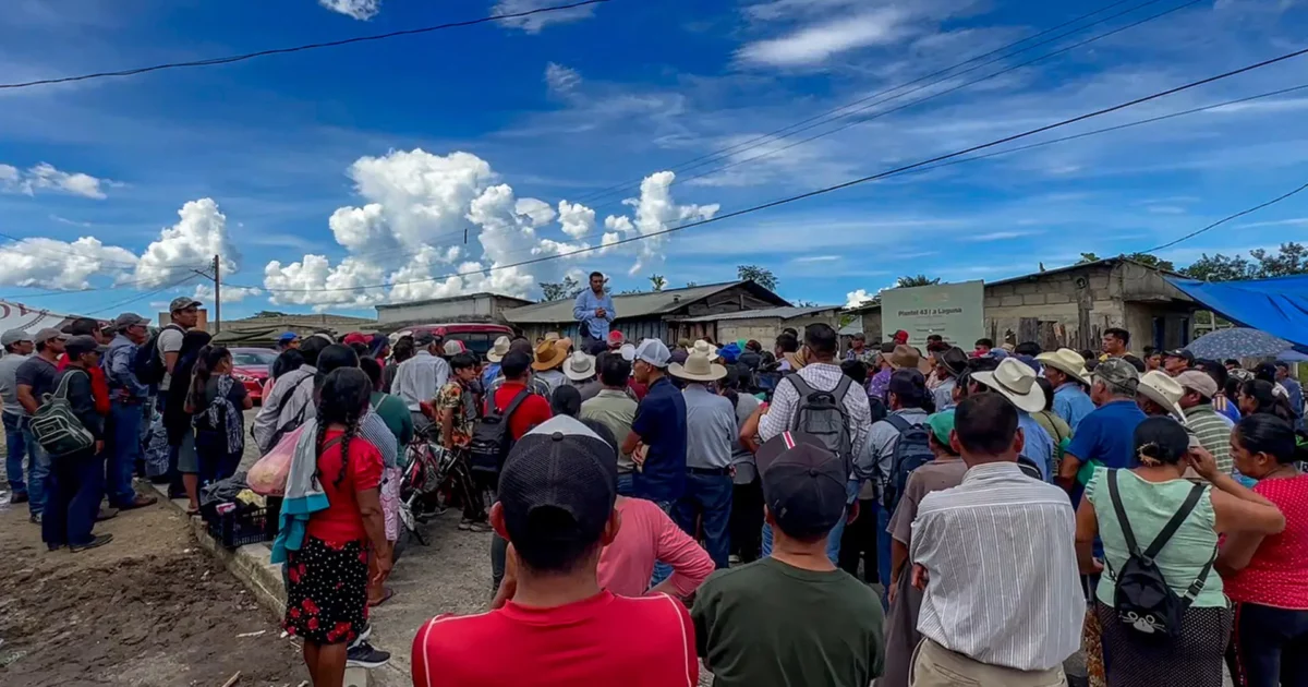 Liberan A Ltimos Ejidatarios Secuestrados Por Grupo Armado En Chiapas