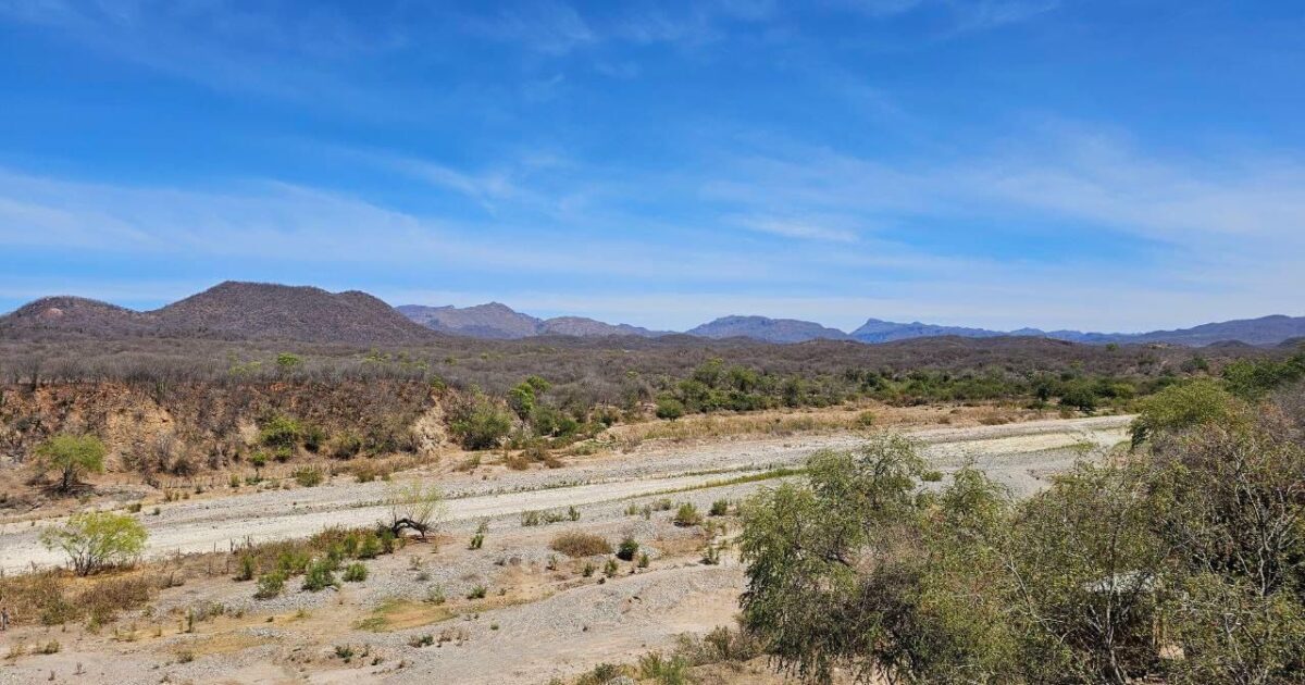 Se agrava la sequía Choix comienza el tandeo de agua en su cabecera