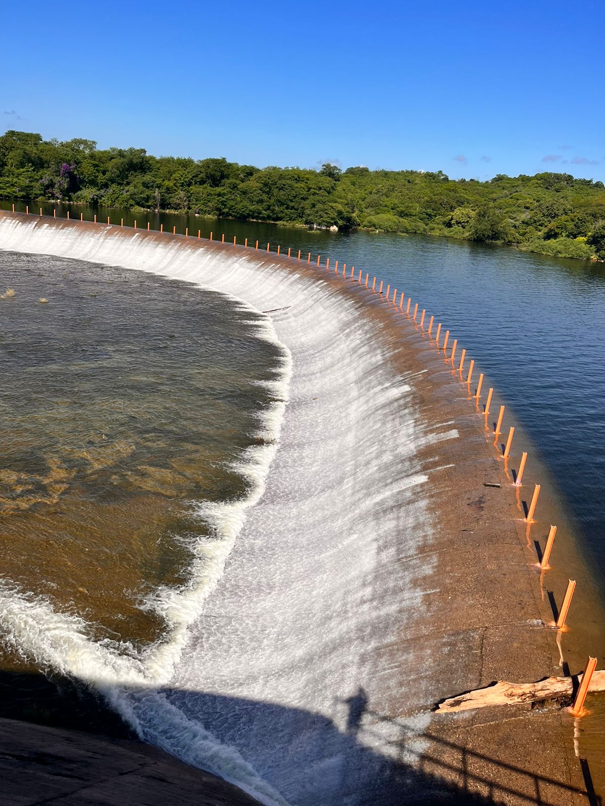 Presa Picachos
