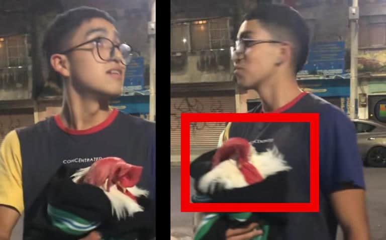 VIDEO: Joven sale con su gallo envuelto en cobija durante sismo de 6.9 en Ciudad de México