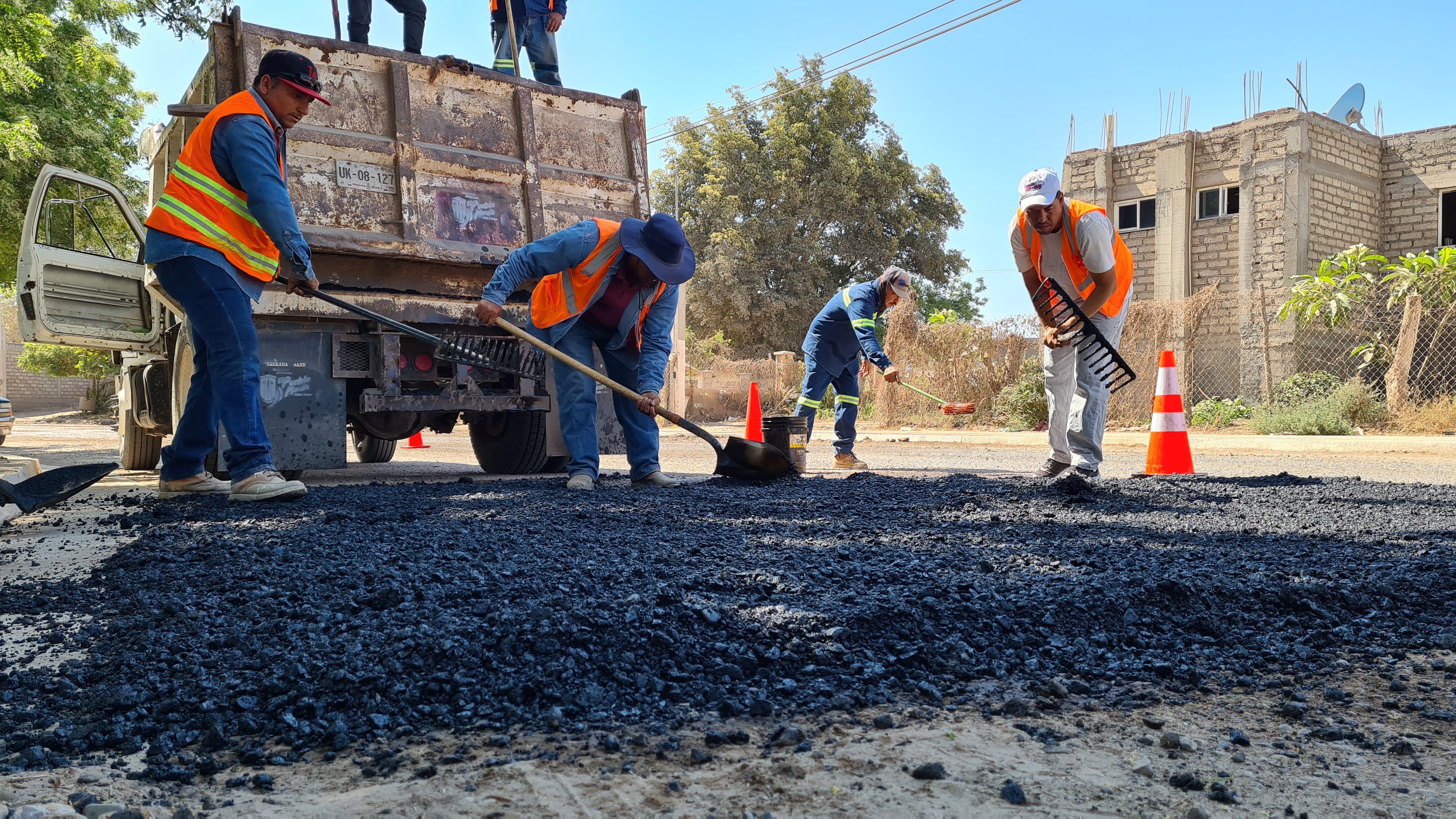 Baches en Guamúchil