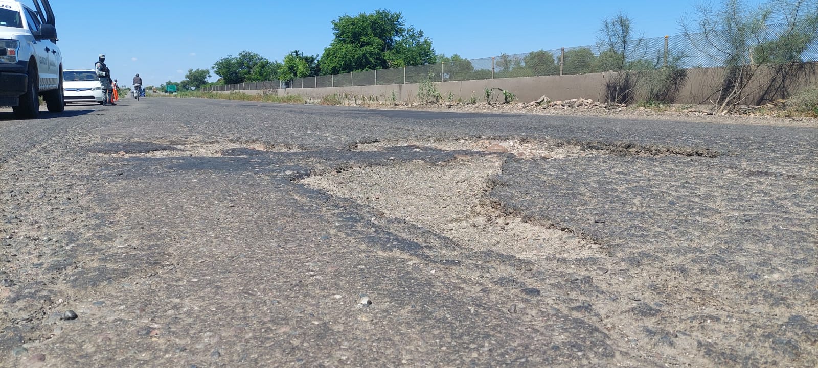 Baches en Guasave