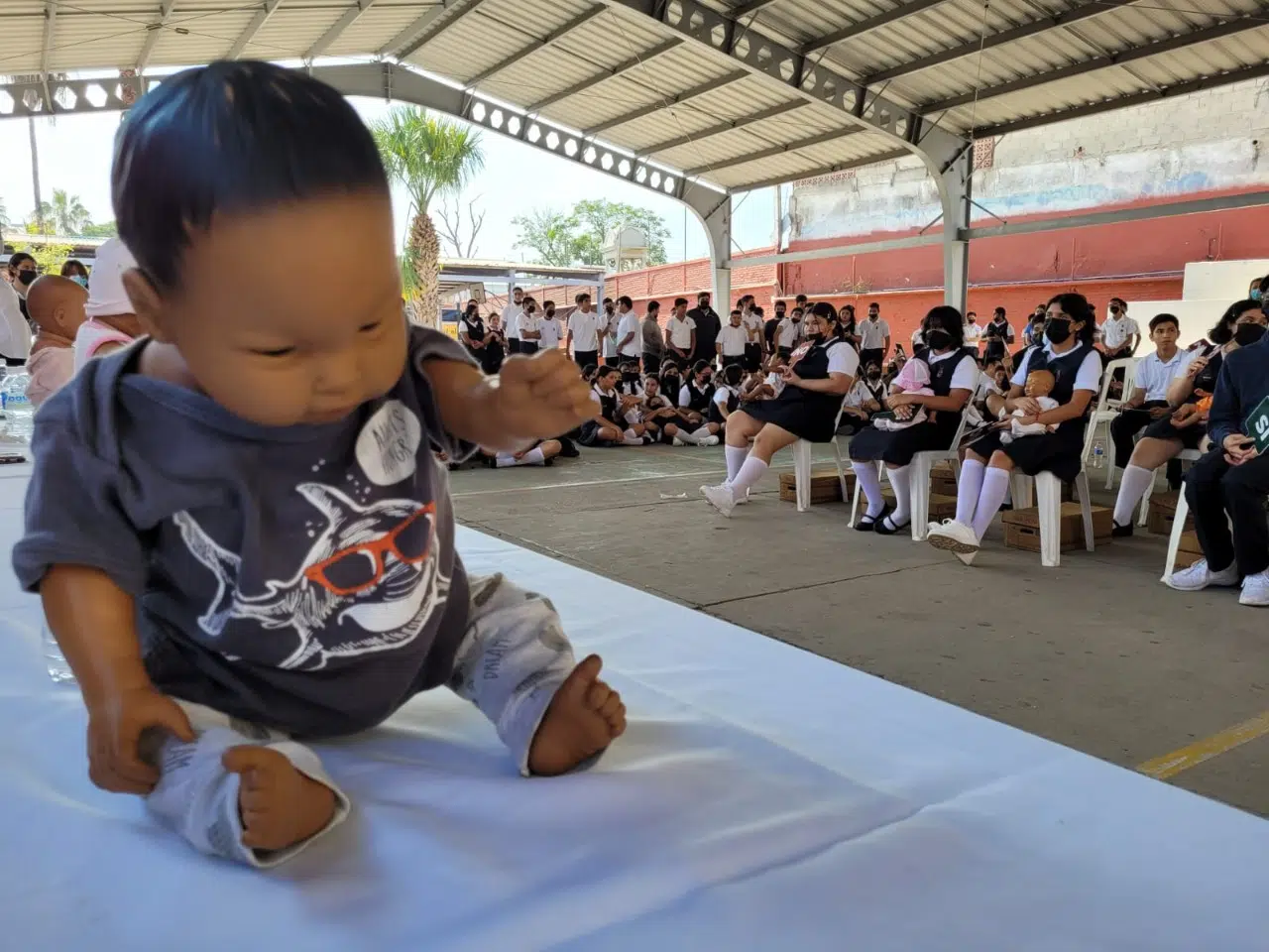 Bebés virtuales Mazatlán