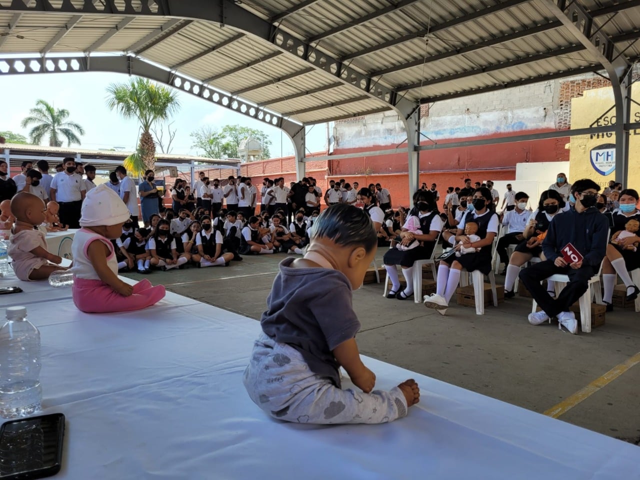 Bebés virtuales Mazatlán