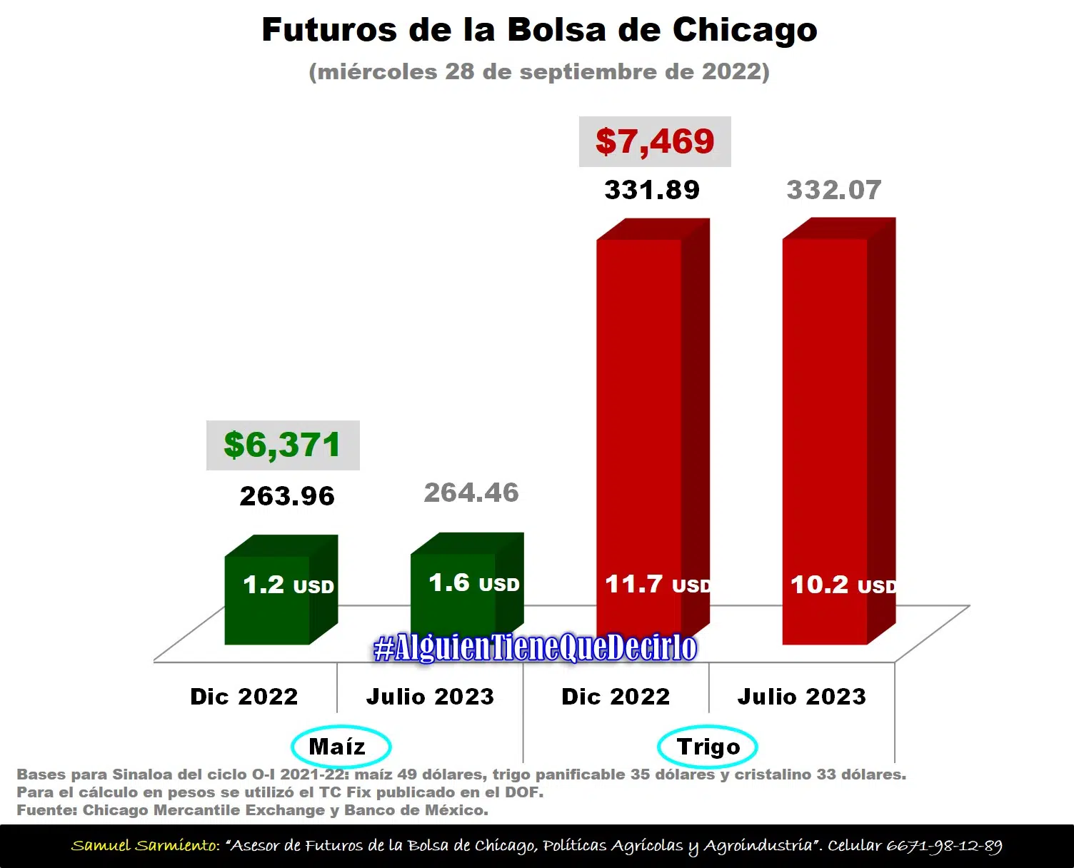 Futuros de trigo ganan 11.7 dólares en cotizaciones