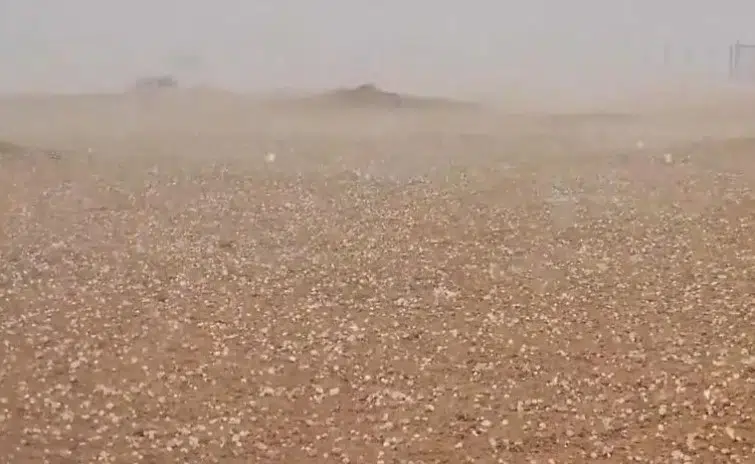 VIDEO: ¡Sorprendente! Fuerte tormenta con granizo viste de blanco el desierto de Dubái