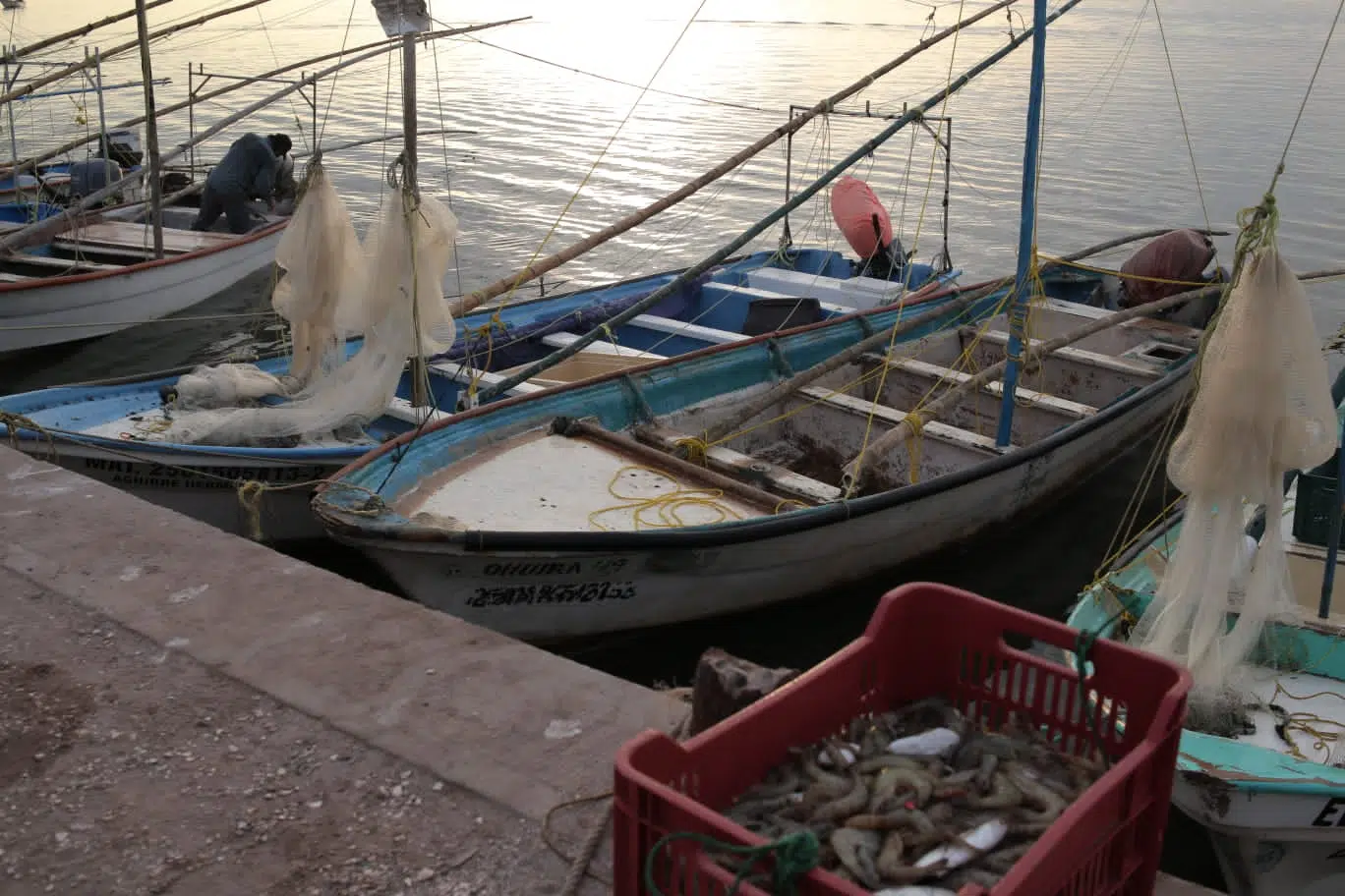 Pesca en Sinaloa