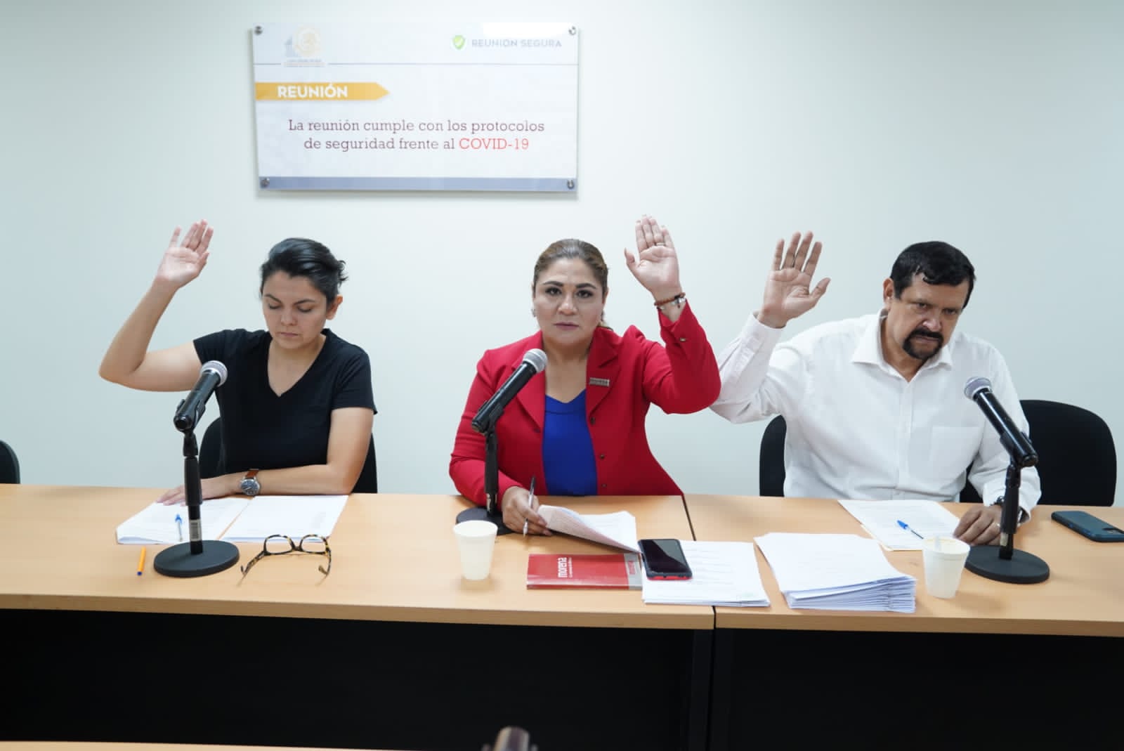Rocha presenta iniciativas al Congreso