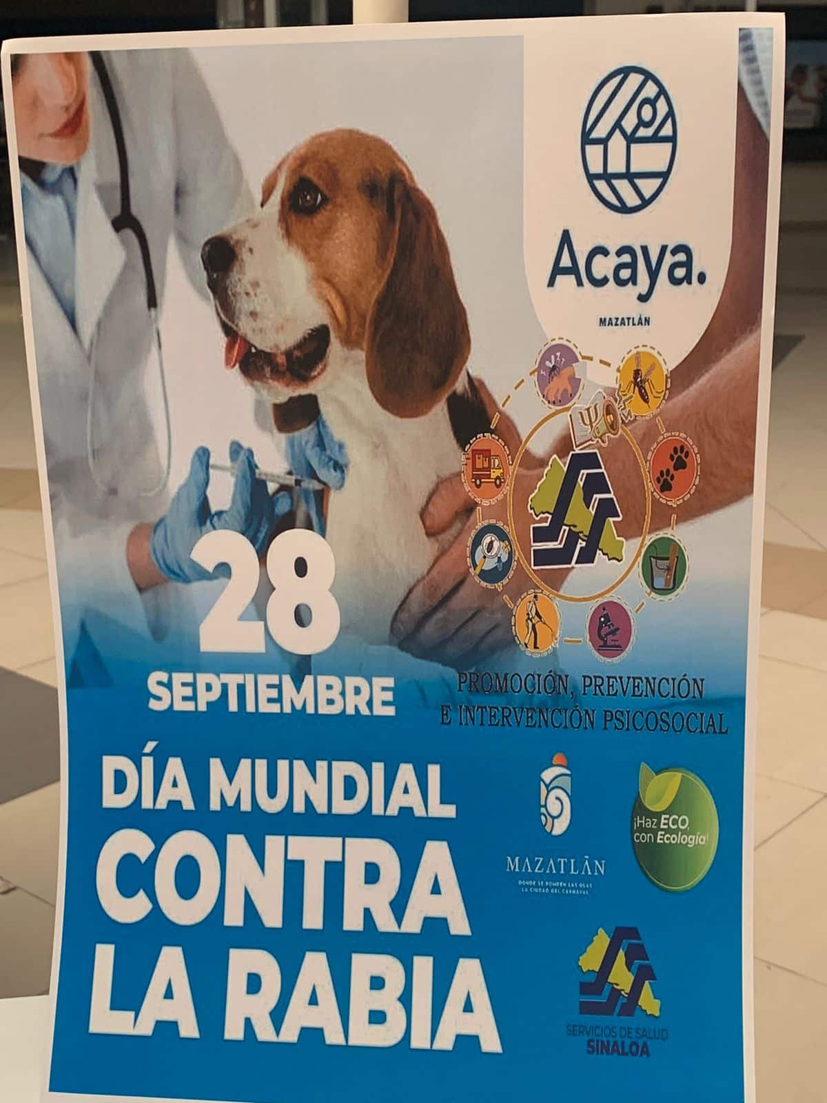 Día Mundial contra la Rabia
