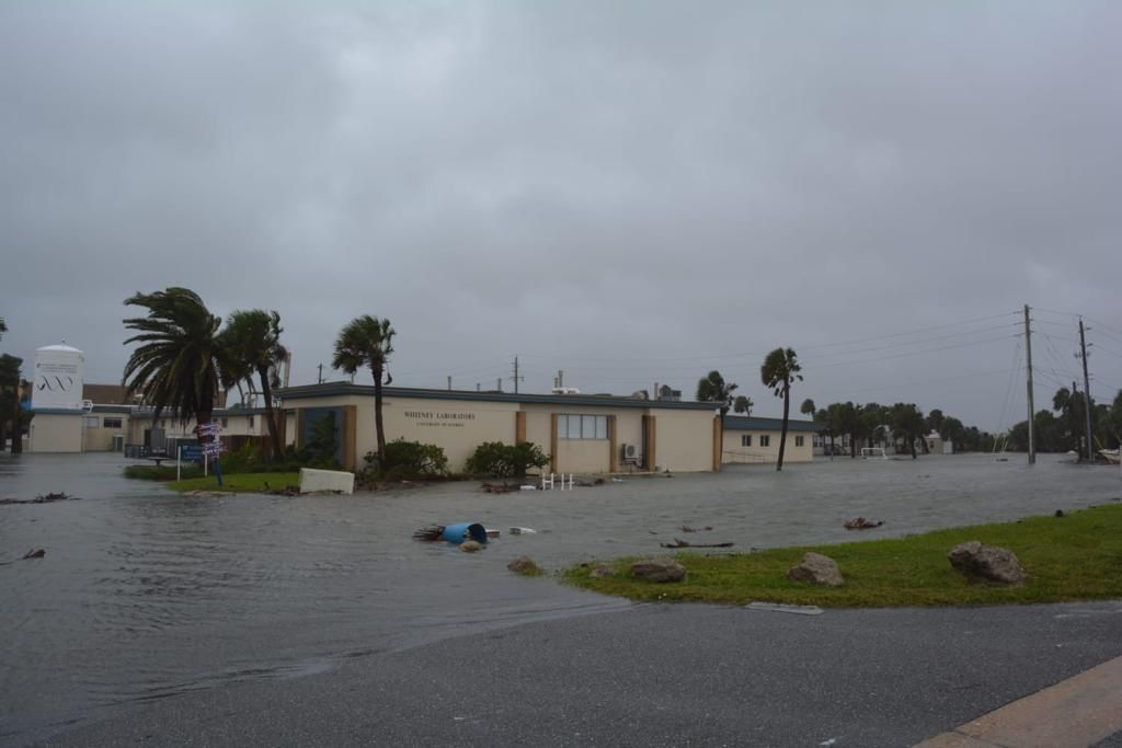 Guasavense narra el impacto de Ian en Florida