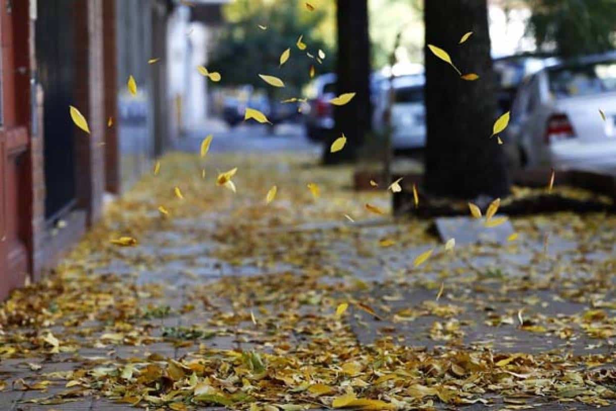 Semana inicia en Sinaloa con zonas en 19º