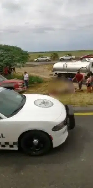 Accidente vacas tráiler Mazatlán