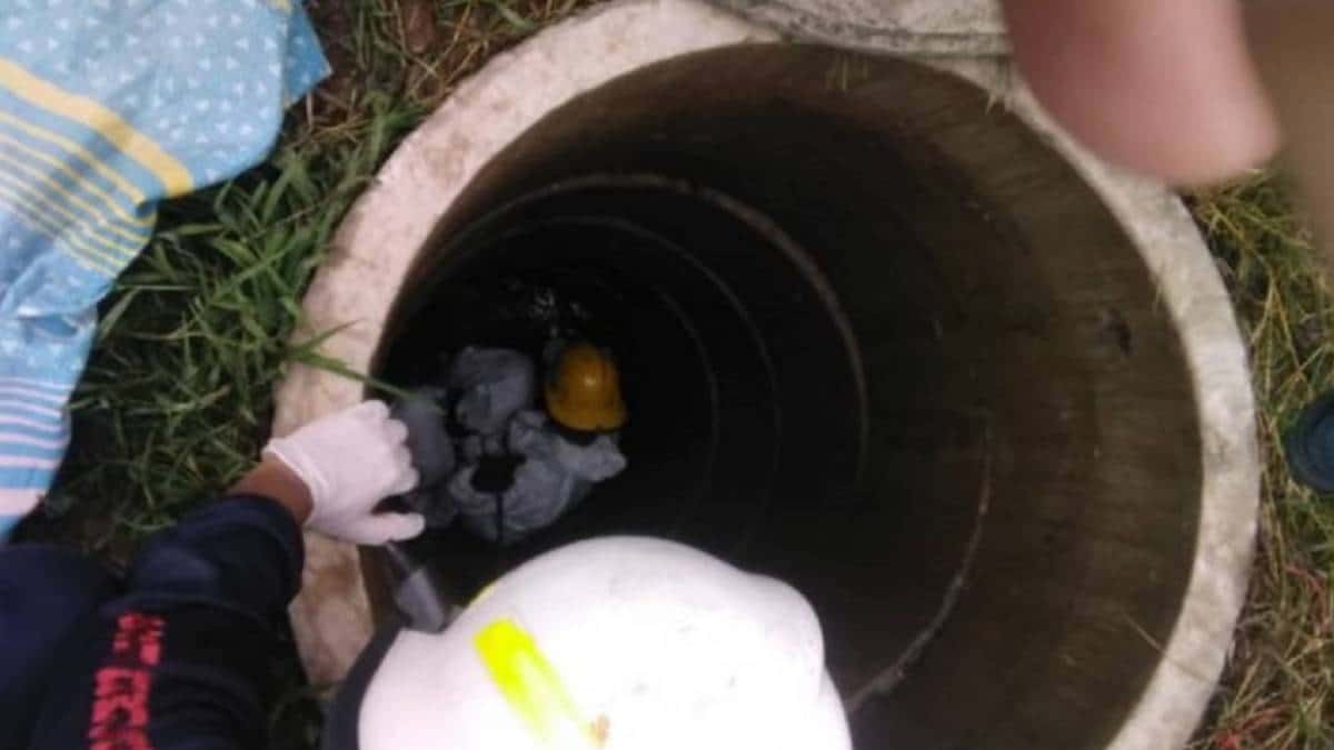 Adolescente viola y mata a su hermanita