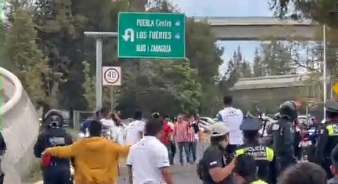 Aficionados Chivas vs Puebla