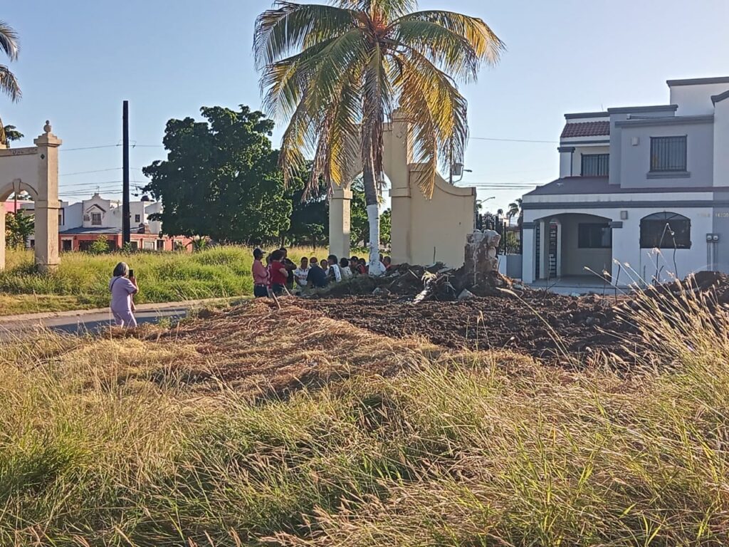 Derriban barda Mazatlán