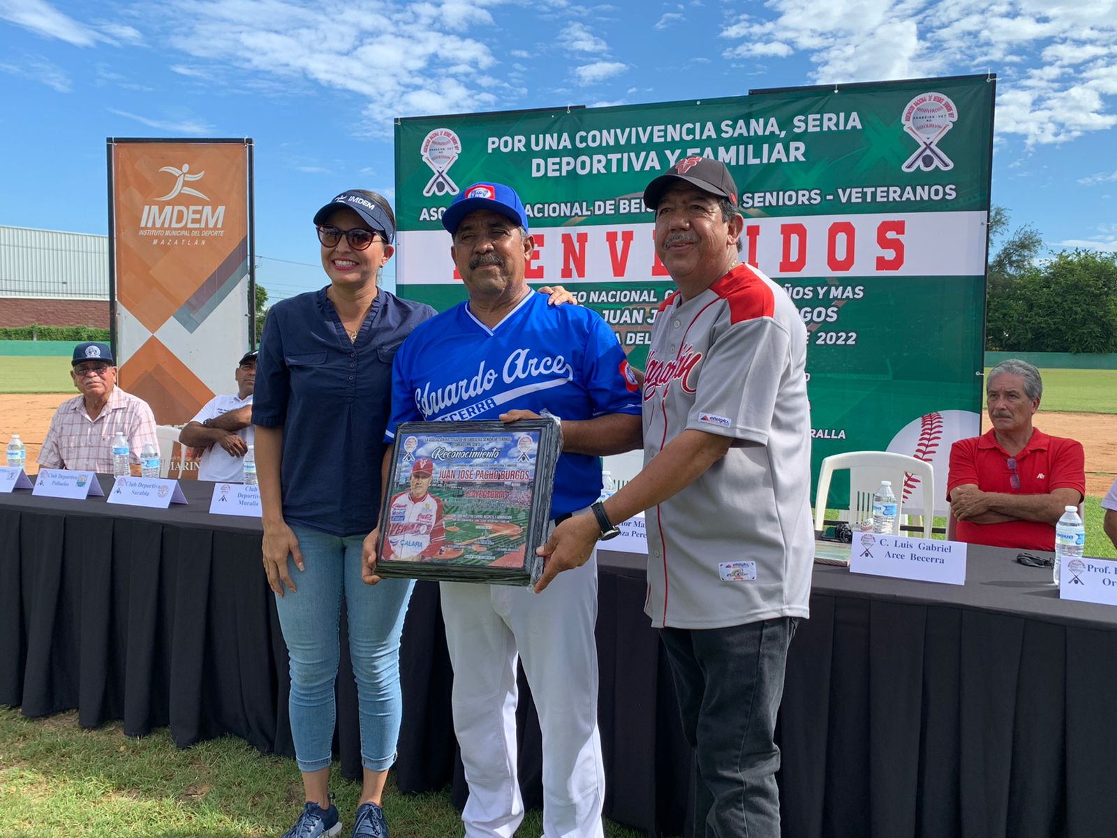 Beisbol Veteranos