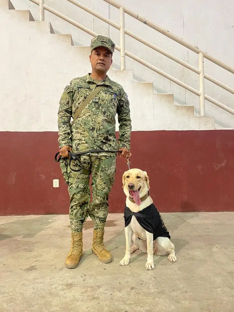 Binomios caninos de la Marina