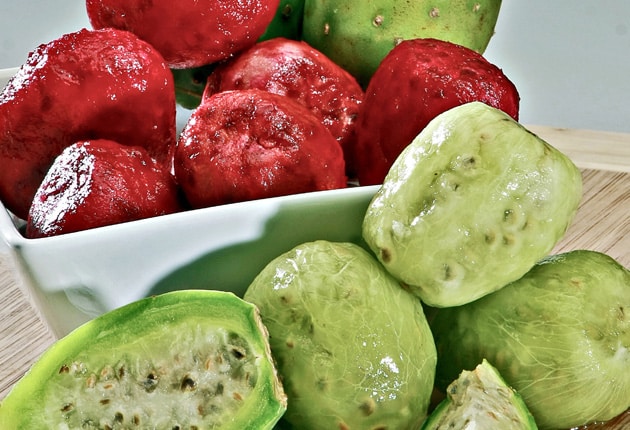 Conoce los beneficios de comer tunas, ¡la grandiosa fruta mexicana!
