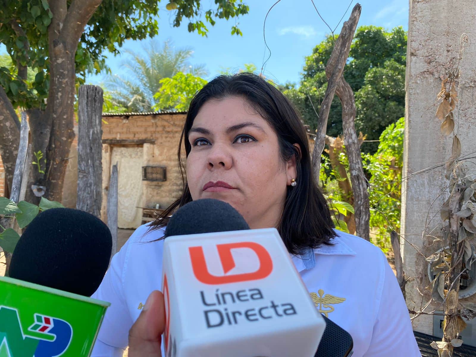Casos positivos de dengue