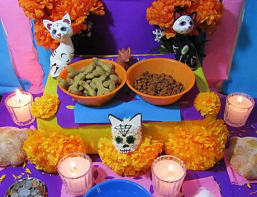 Día de Muertos para Mascotas