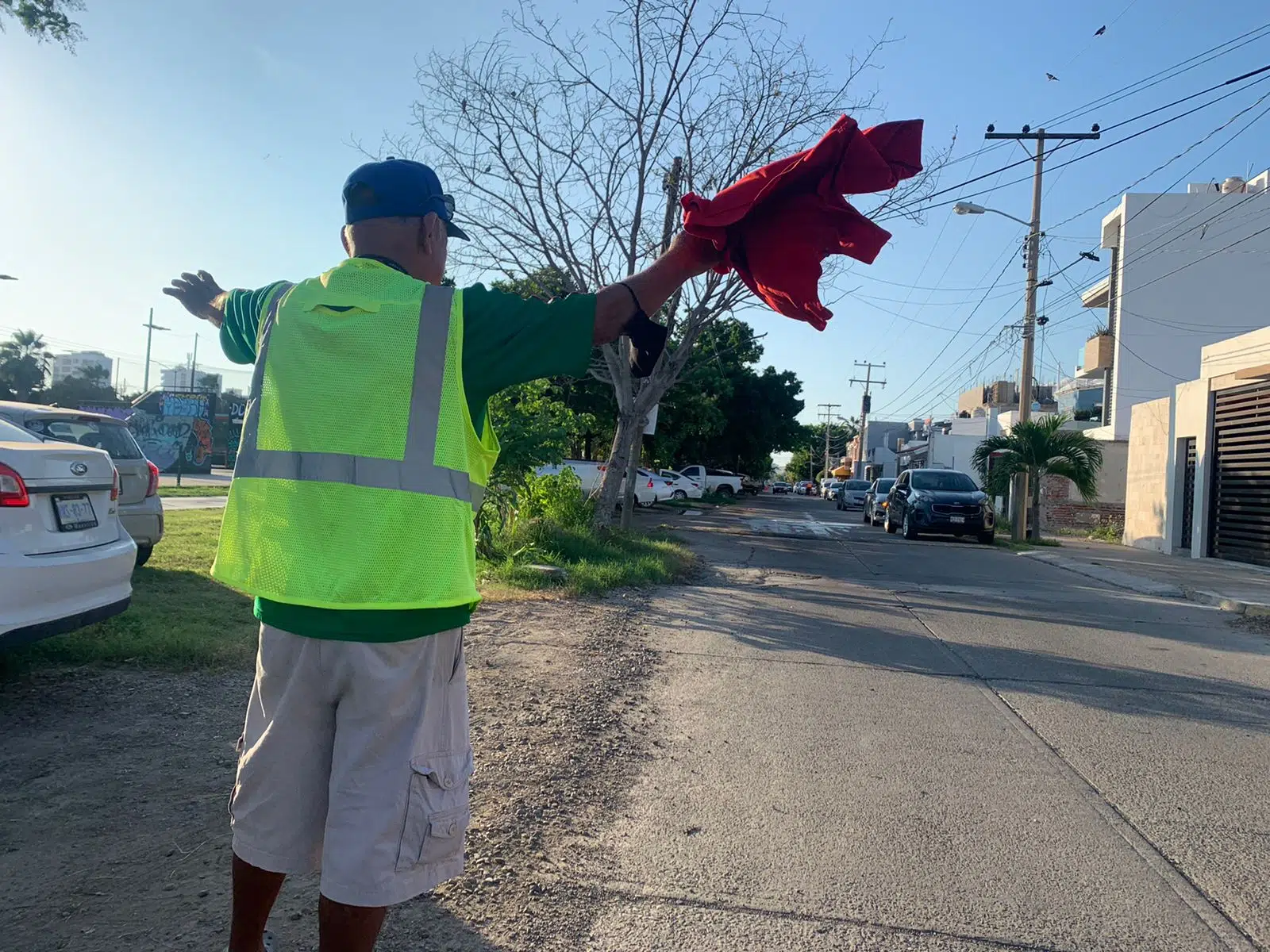 Don Alejo, LMP, Venados Mazatlán