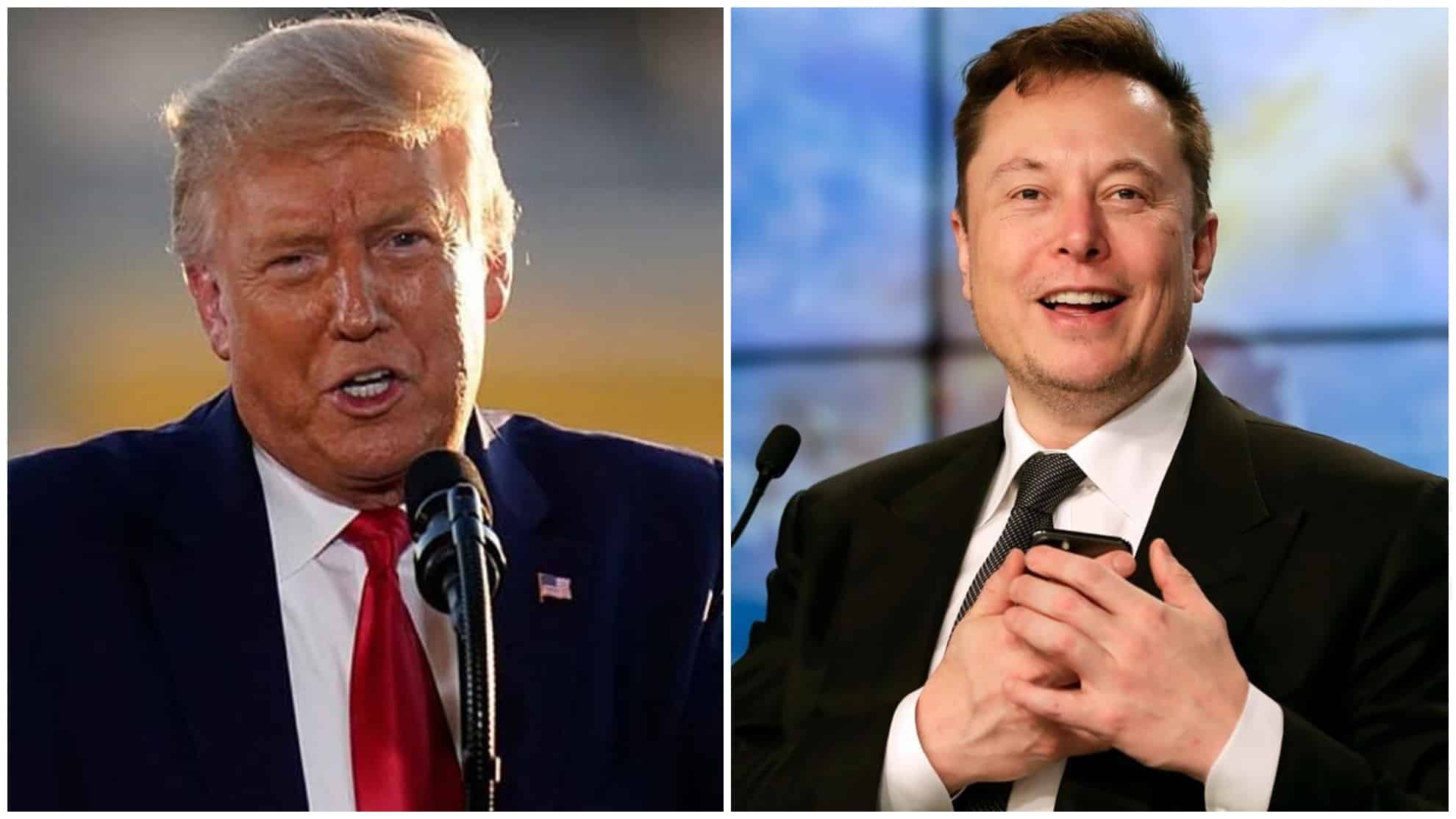 ¿Donald Trump Regresa A Twitter? Elon Musk Realiza Cambios Como Nuevo ...