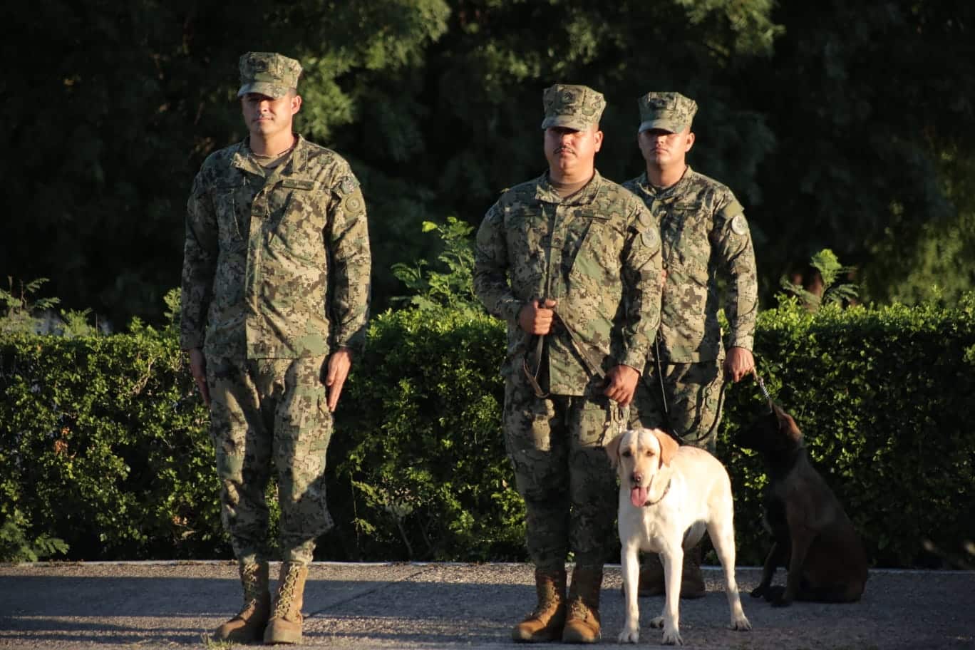Ejército Mexicano