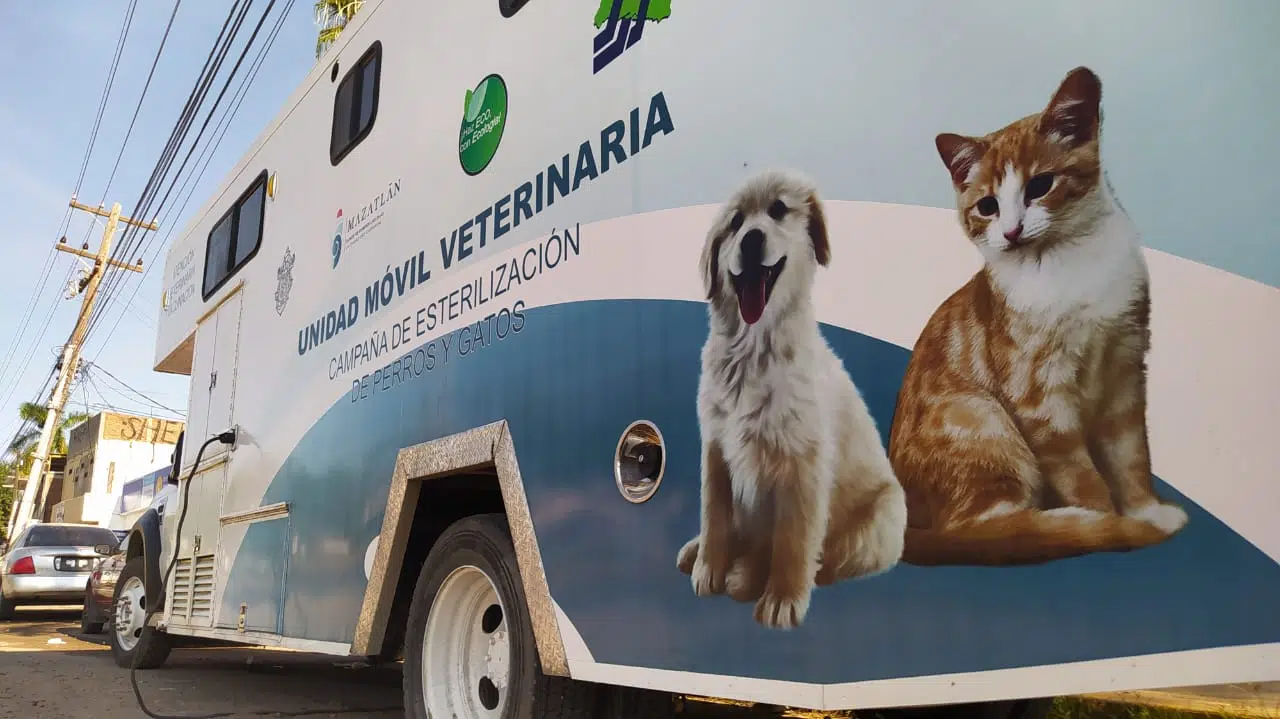 El camioncito esterilizador va de la zona urbana a la zona rural atendiendo a perros y gatos (3)