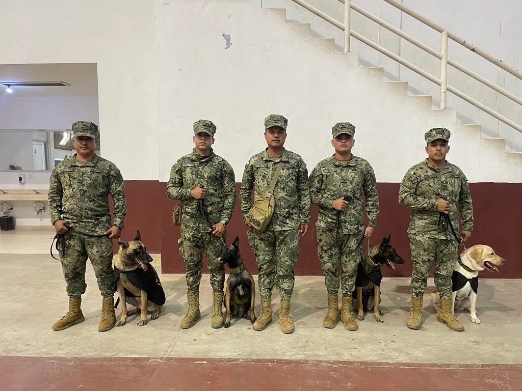 Equipo canino de la Marina