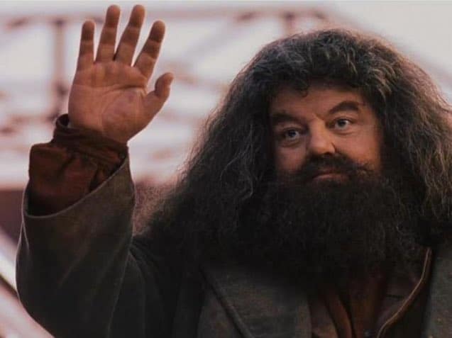 Robbie Coltrane hagrid