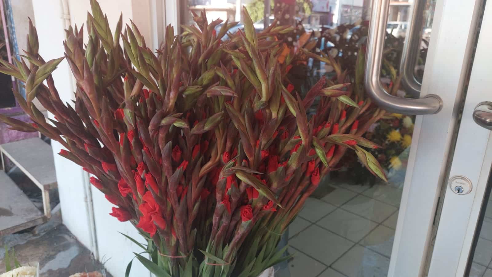 Flor Día de Muertos Guasave