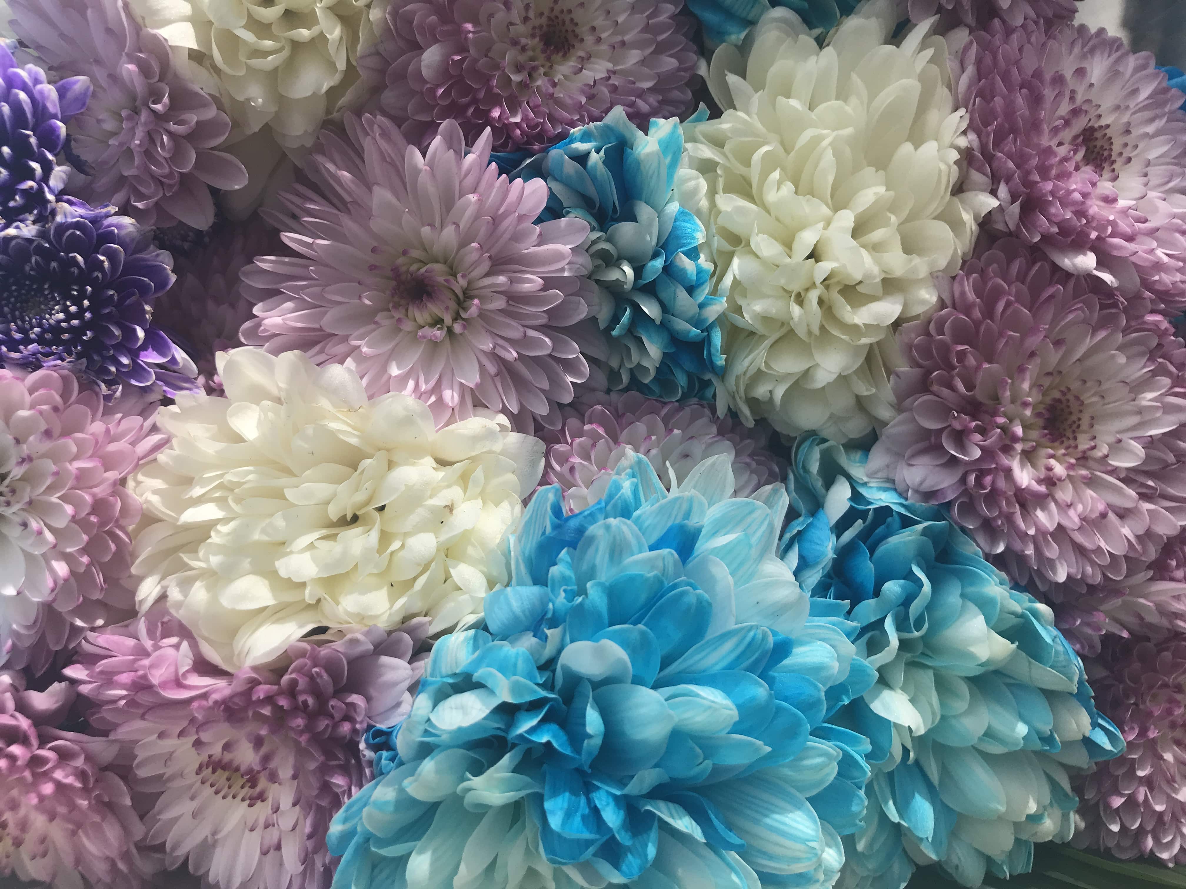 Flores típicas en Día de Muertos