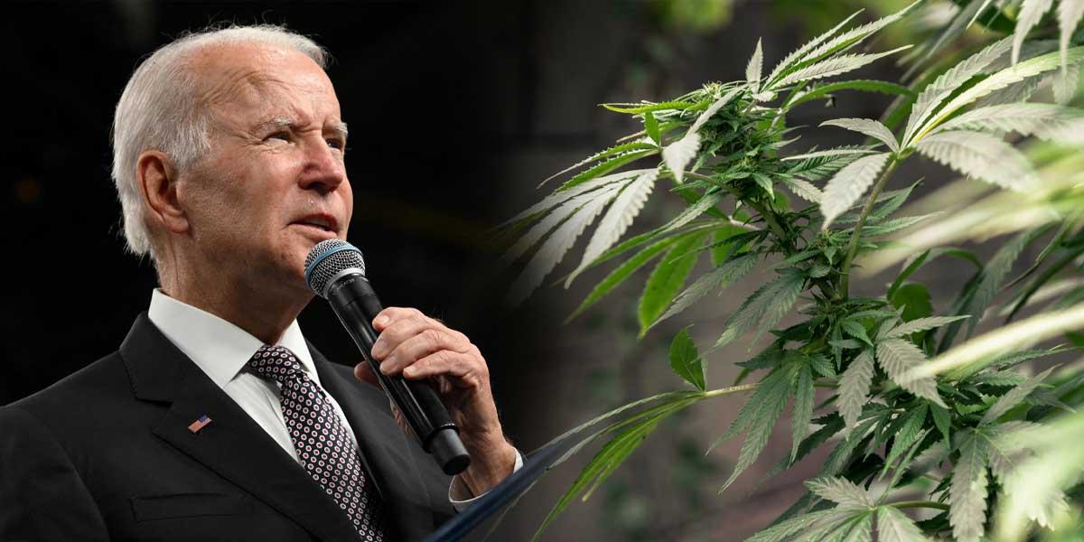 Joe Biden Marihuana