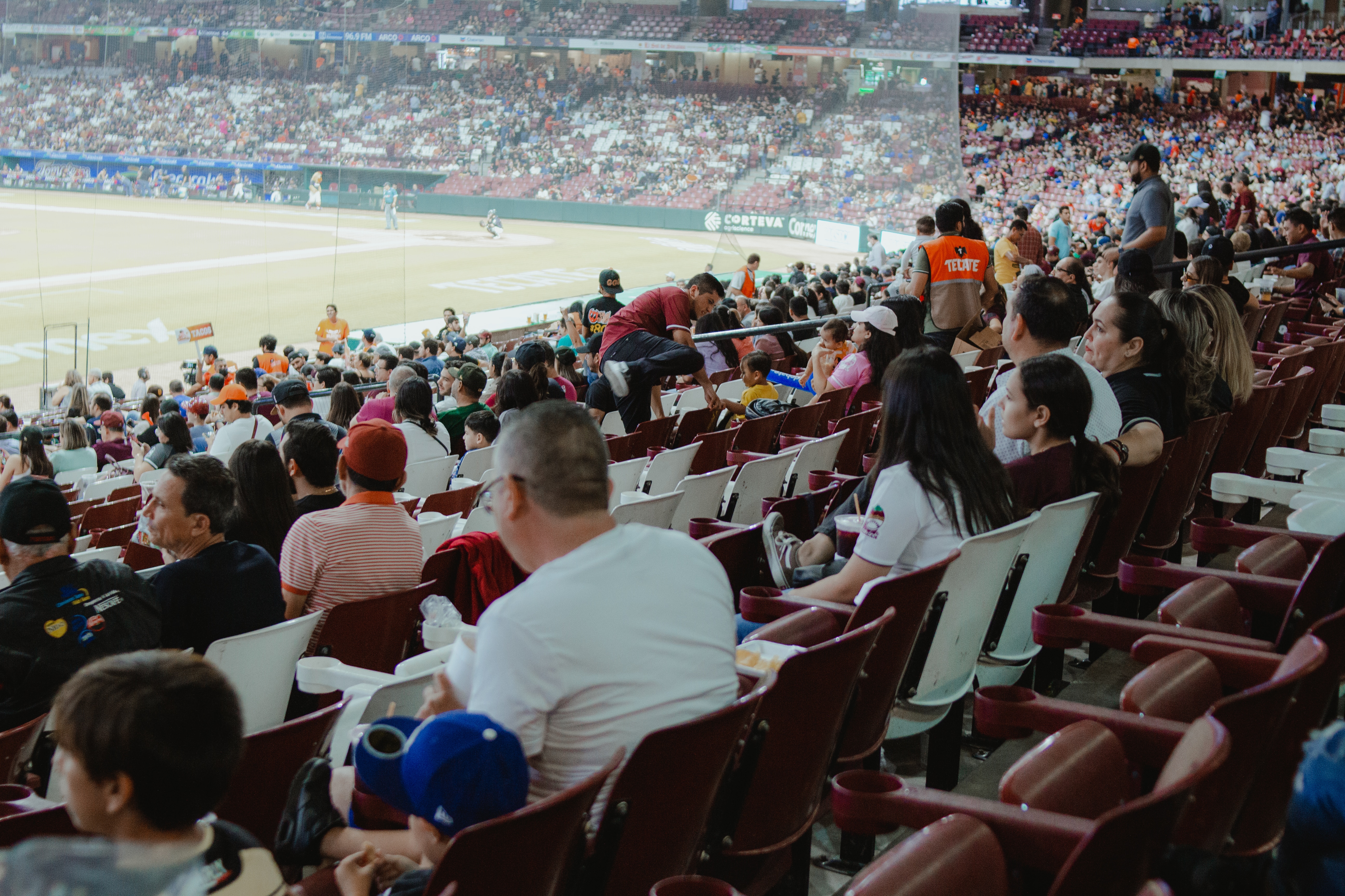 ¡Tomateros contra Venados no hay más! La afición disfruta de la primera batalla sinaloense / Foto Fernanda Millán