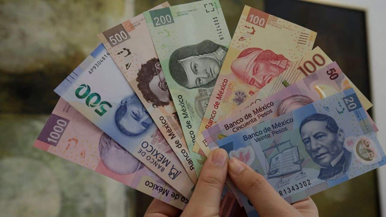 ¿Te inscribiste a la pensión Bienestar para discapacitados y quieres saber si la recibirás?