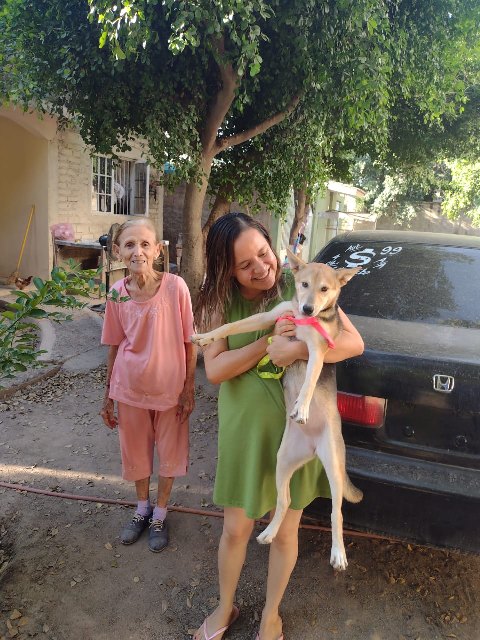 Perrita Abandonada Guasave
