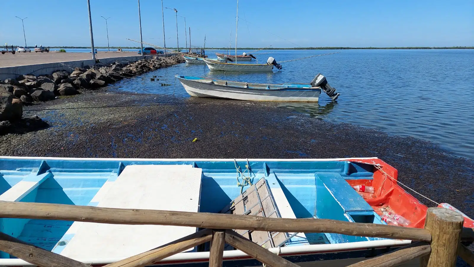 Pescadores de Altata sacan solo para comer