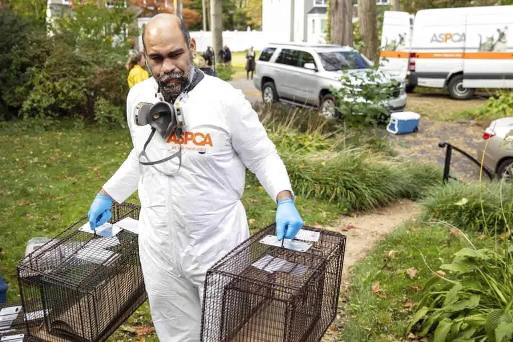 Rescatan a 300 animales hacinados en casa de Nueva York