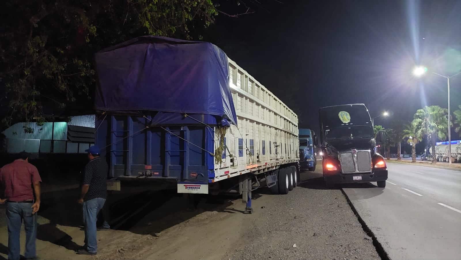 Se manifiestan transportistas de carga federal (4)