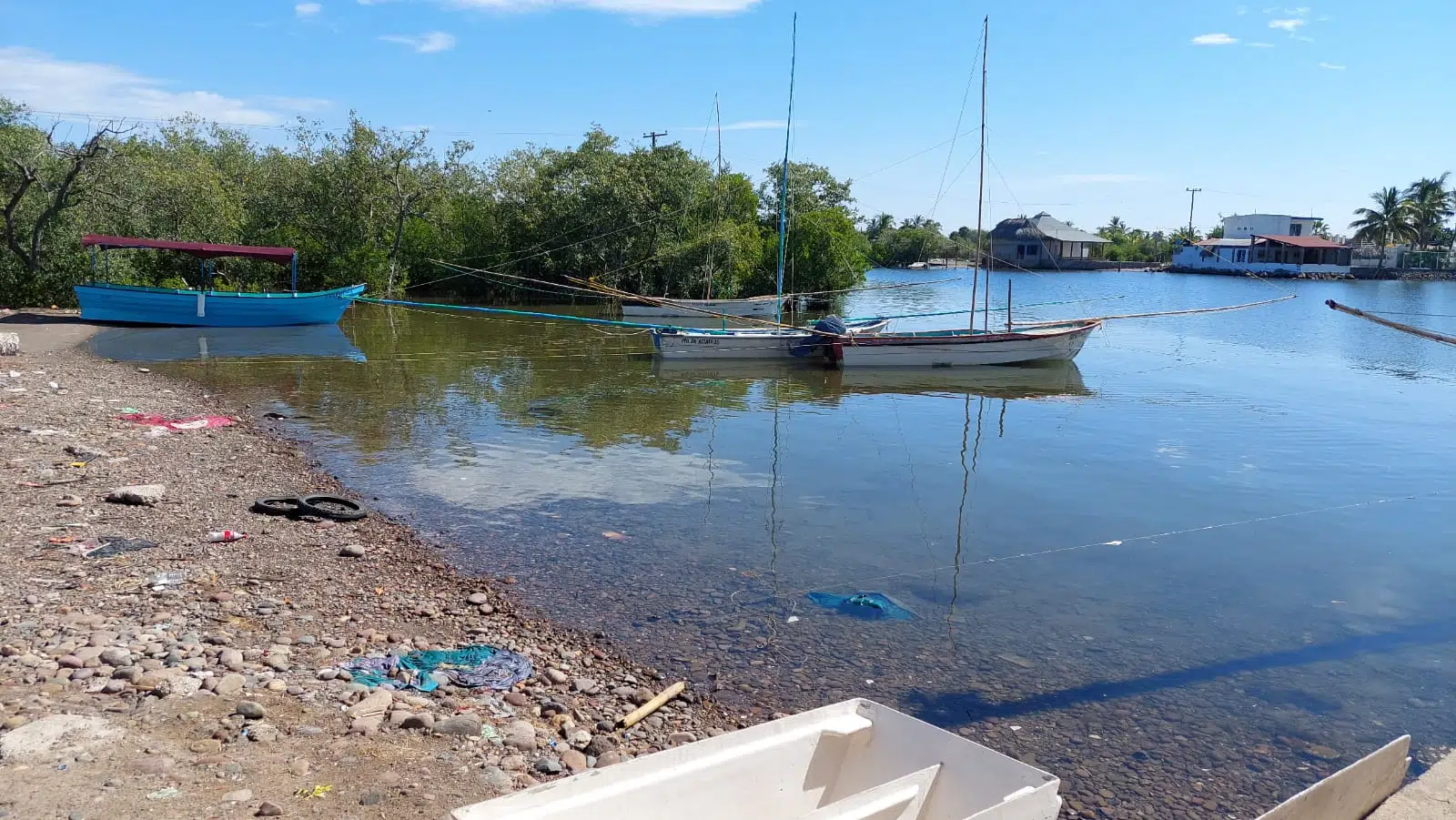 Se quejan pescadores de Altata, por mala Zafra Camaronera