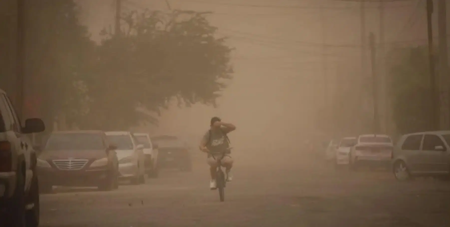 Tormenta de arena deja múltiples daños en Mexicali