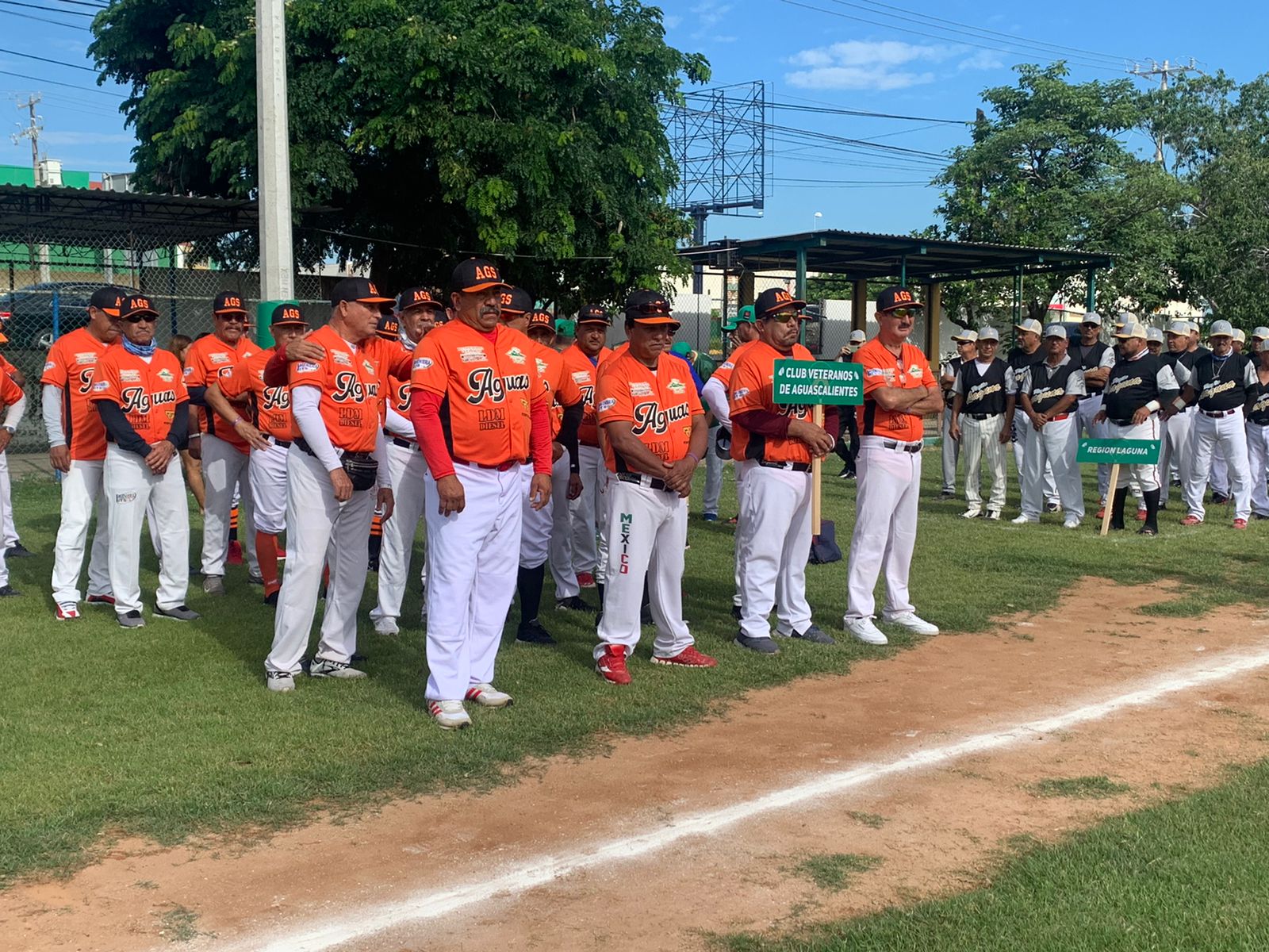 Beisbol Veteranos